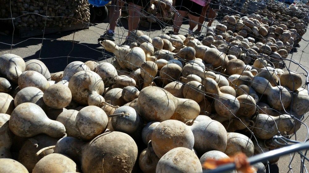 20160213_122922.jpg image