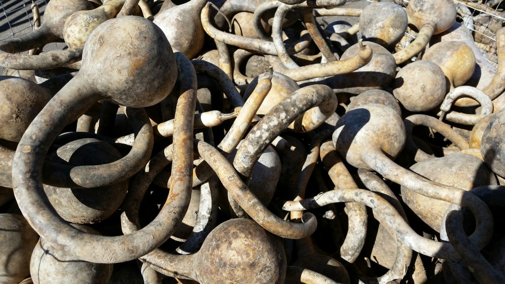 20160213_123930.jpg image