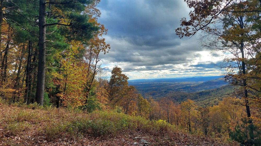 Fall at Fancy&nbsp;Gap